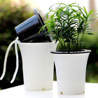 Potenciômetros espertos de ISO9001 125mm Herb Monstera Self Watering Houseplant