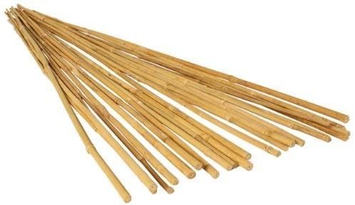 varas de bambu do apoio da planta de 7ft